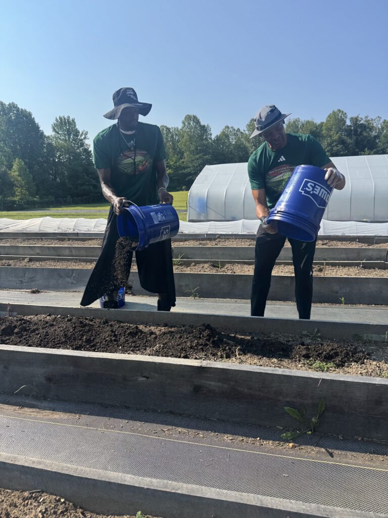 Sustainable Urban Farm